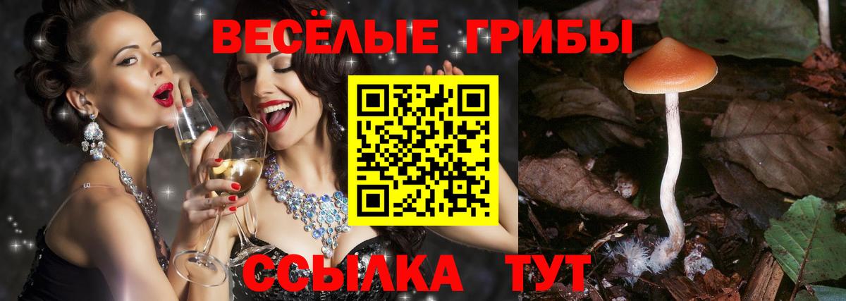 Галлюциногенные грибы Magic Shrooms  Вход с VPN  Краснознаменск 